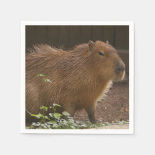 Capybara Napkin