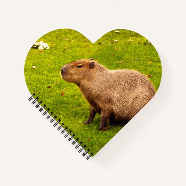 Capybara Notebook (Front)
