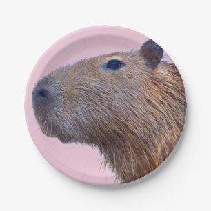 Capybara Paper Plate