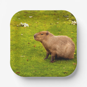 Capybara Paper Plate