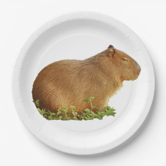 capybara paper plate