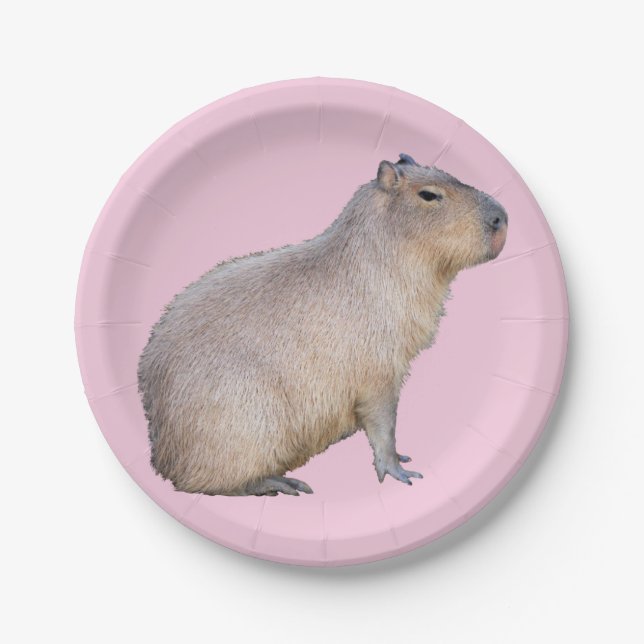 Capybara Paper Plate (Front)