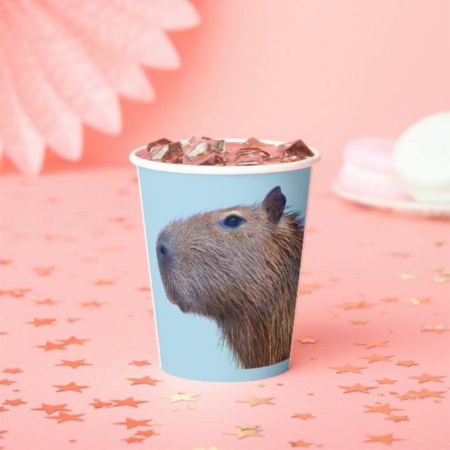 Capybara Paper Plates Paper Cups (Insitu)