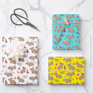 Capybara Personalised Birthday Hand-Illustrated Wrapping Paper Sheet