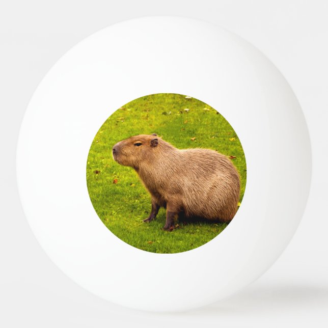 Capybara Ping Pong Ball (Front)