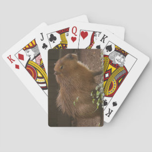 Capybara Playing Cards
