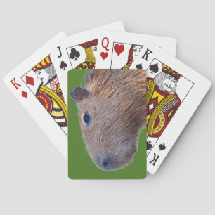 Capybara Playing Cards