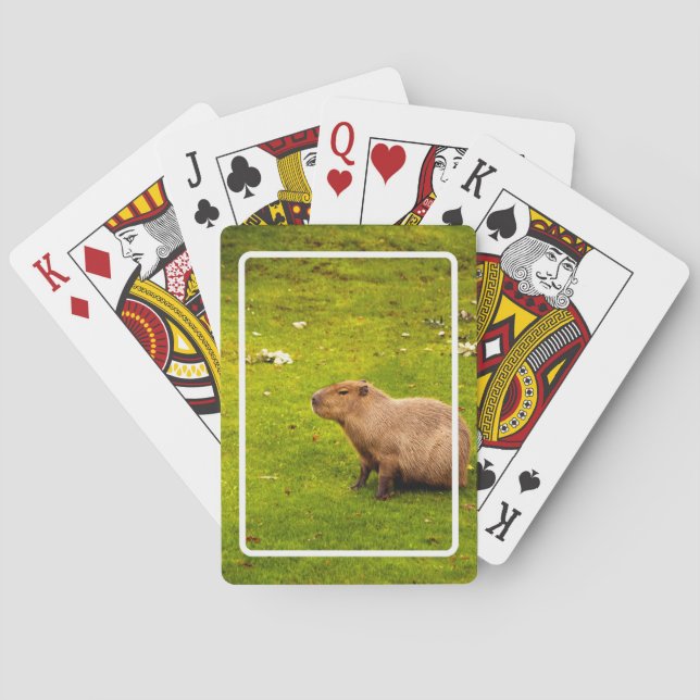 Capybara Playing Cards (Back)