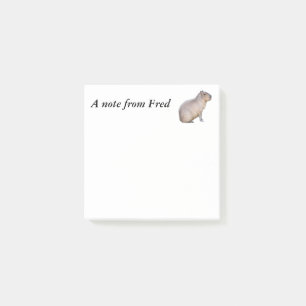 Capybara Post-it Notes