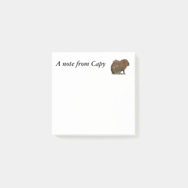 Capybara Post-it Notes (Front)