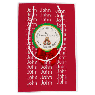 CAPYBARA RED XMAS NAME EDITABLE MEDIUM GIFT BAG