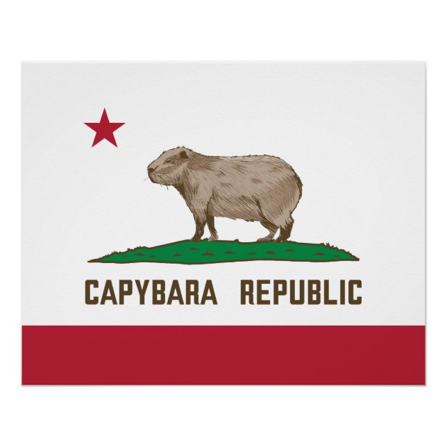 Capybara Republic Flag Poster (Front)