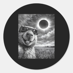 Capybara Selfie Funny Animal Solar Eclipse Graphic Classic Round Sticker