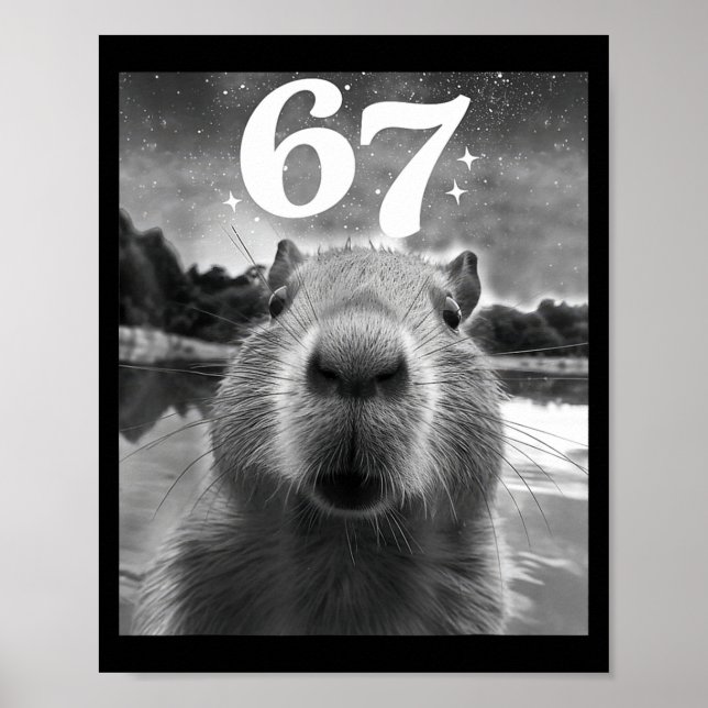 Capybara Selfie With 67 Meme Capy Graphic For Men  Poster (Front)