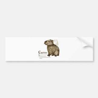 capybara - sepia bumper sticker
