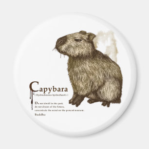 capybara - sepia magnet