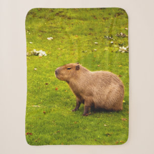 Capybara Sherpa Blanket