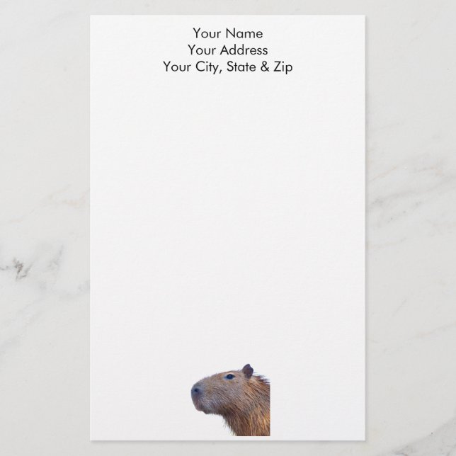 Capybara Stationery (Front)