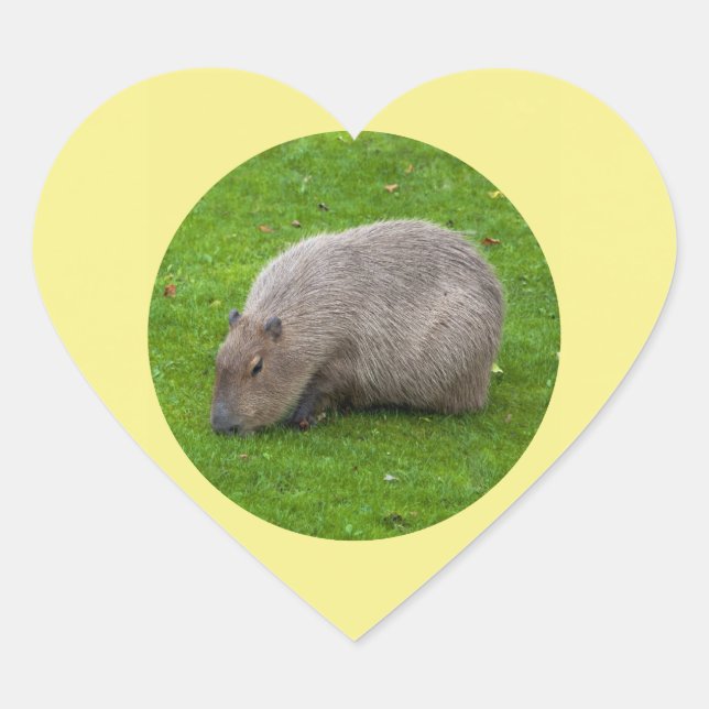 Capybara Sticker (Front)