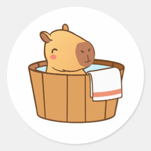 Capybara Stickers   Cute Animal Stickers for Kids 