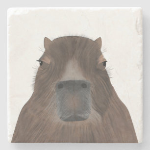 Capybara Stone Coaster