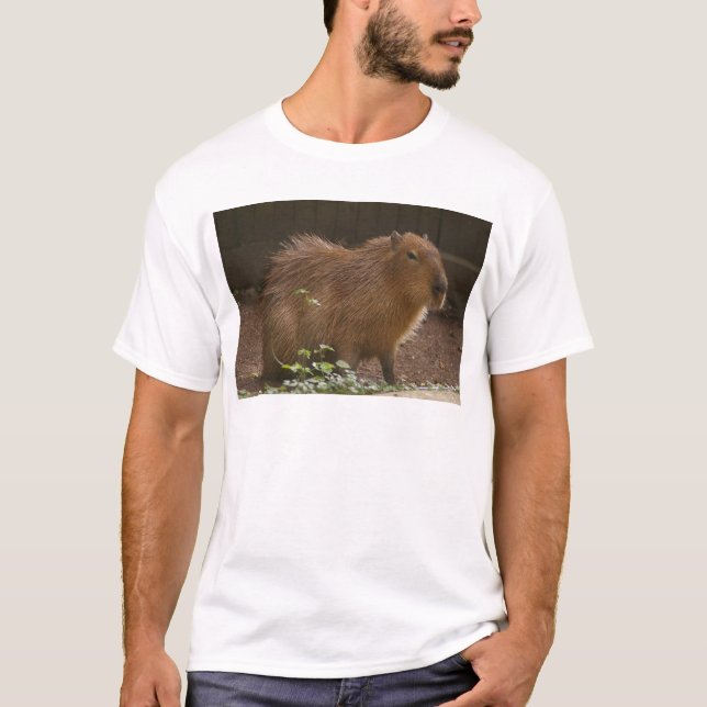 Capybara T-Shirt (Front)