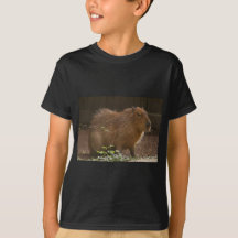 Capybara