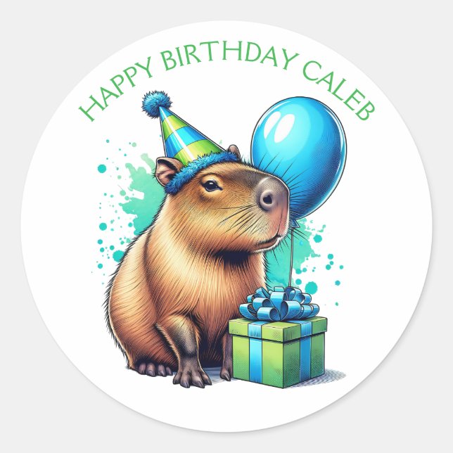  Capybara Themed Boy's Birthday Party Classic Round Sticker (Front)