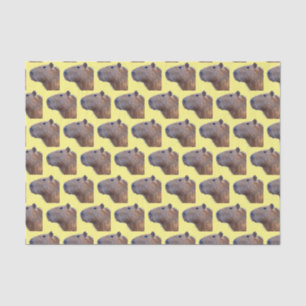 Capybara Tissue Paper