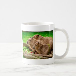 Capybara Trio Coffee Mug