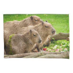 Capybara Trio Pillowcase