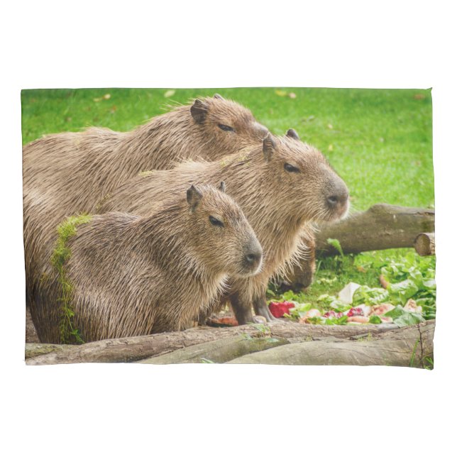 Capybara Trio Pillowcase (Front)