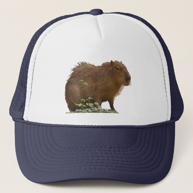 Capybara Trucker Hat (Front)