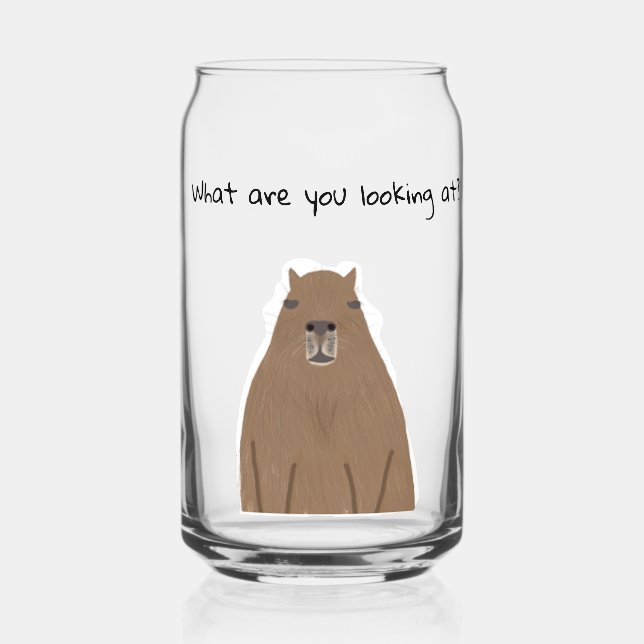 Capybara what are you looking at Drinkware Set Can Glass (Front)