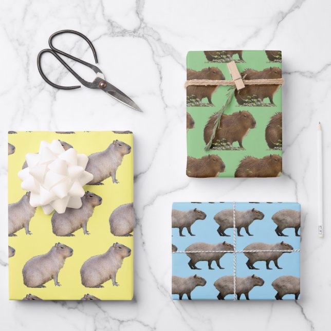 Capybara Wrapping Paper Sheet (Front)