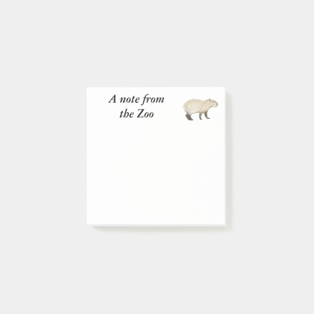 Capybara Zoo Post-it Notes (Front)