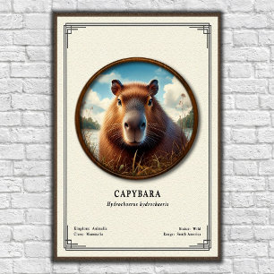 Capybara Zoology Series Poster