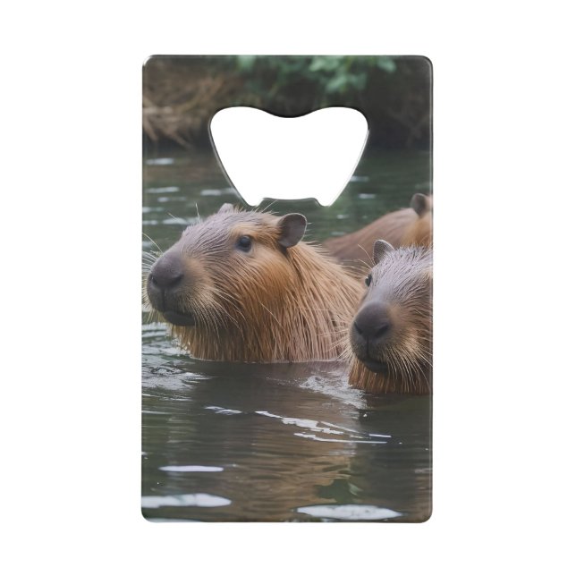 Capybaras' Swimming In The River,  (Front)