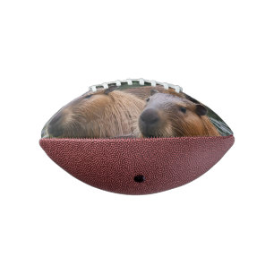 Capybaras' Swimming In The River, American Football