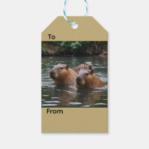 Capybaras' Swimming In The River,  Gift Tags