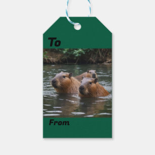 Capybaras' Swimming In The River, Gift Tags