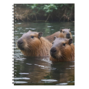Capybaras' Swimming In The River,  Notebook