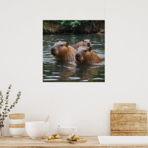 Capybaras' Swimming In The River,  Poster
