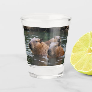 Capybaras' Swimming In The River, Shot Glass