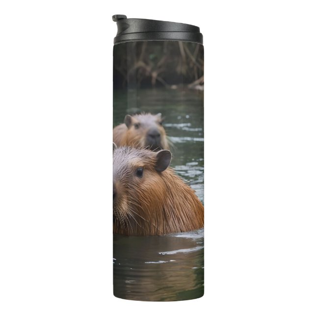 Capybaras' Swimming In The River,  Thermal Tumbler (Rotated Right)