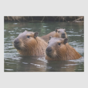 Capybaras' Swimming In The River,  Tissue Paper