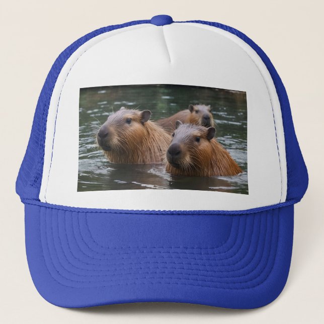 Capybara's Swimming In The River, Trucker Hat (Front)