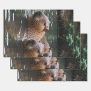 Capybaras' Swimming In The River,  Wrapping Paper Sheet