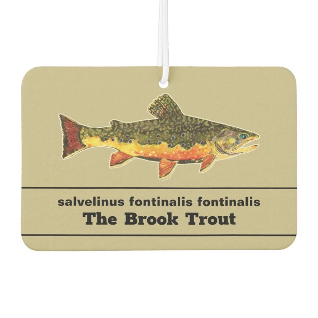 . CAR AIR FRESHENER (Front)