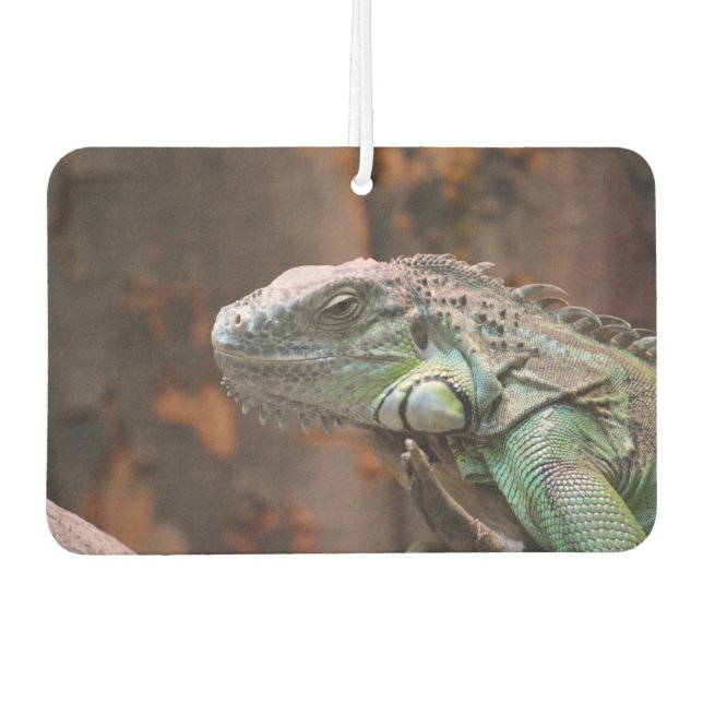 Car Air Fresheners with awesome Iguana lizard (Front)